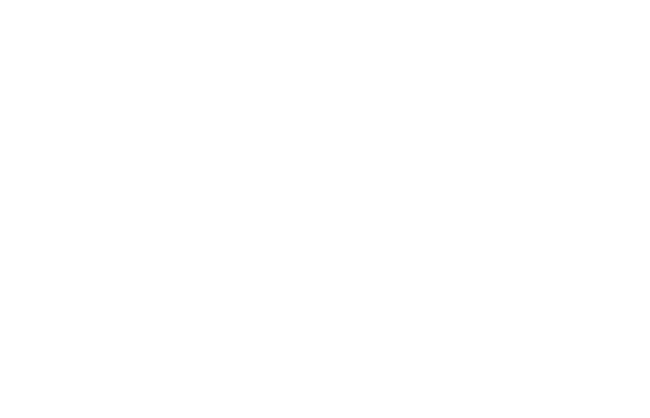 Stadtbund Münchner Frauenverbände, 86kB